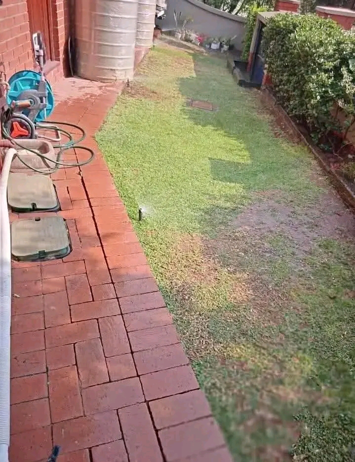 Sprinkler system watering a side garden beside a brick path